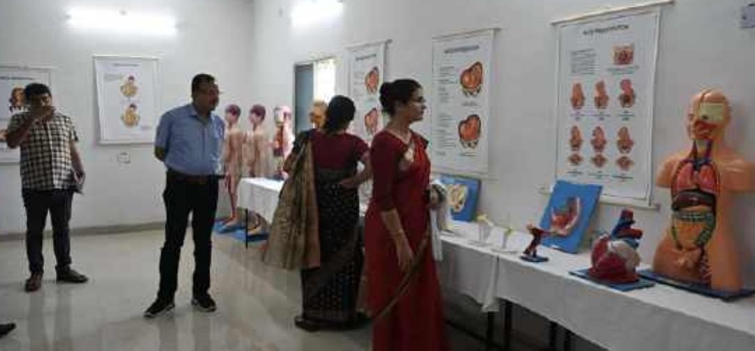 Anatomy lab